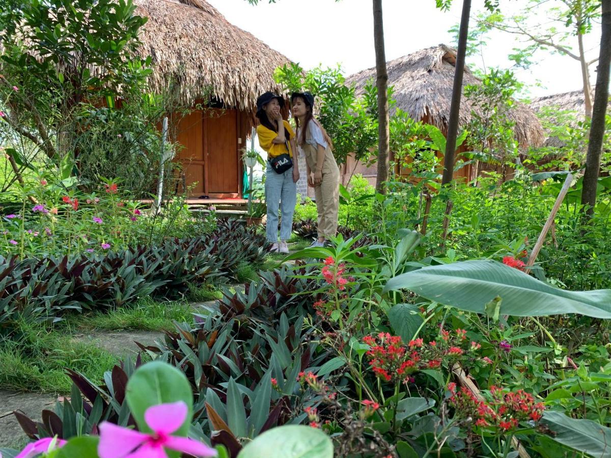 Cuc Phuong Bungalow Nho Quan 外观 照片