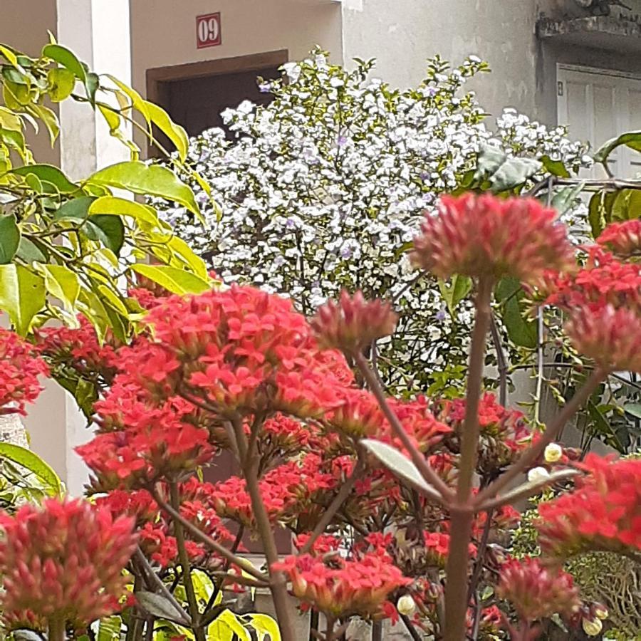 Cuc Phuong Bungalow Nho Quan 外观 照片