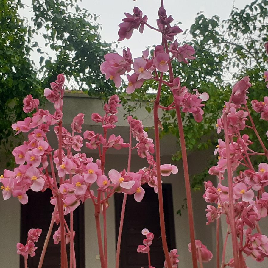 Cuc Phuong Bungalow Nho Quan 外观 照片