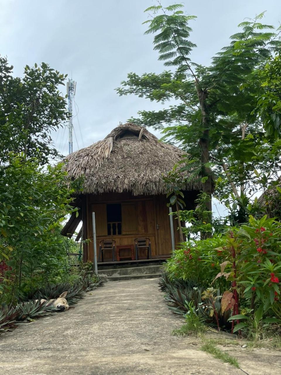 Cuc Phuong Bungalow Nho Quan 外观 照片