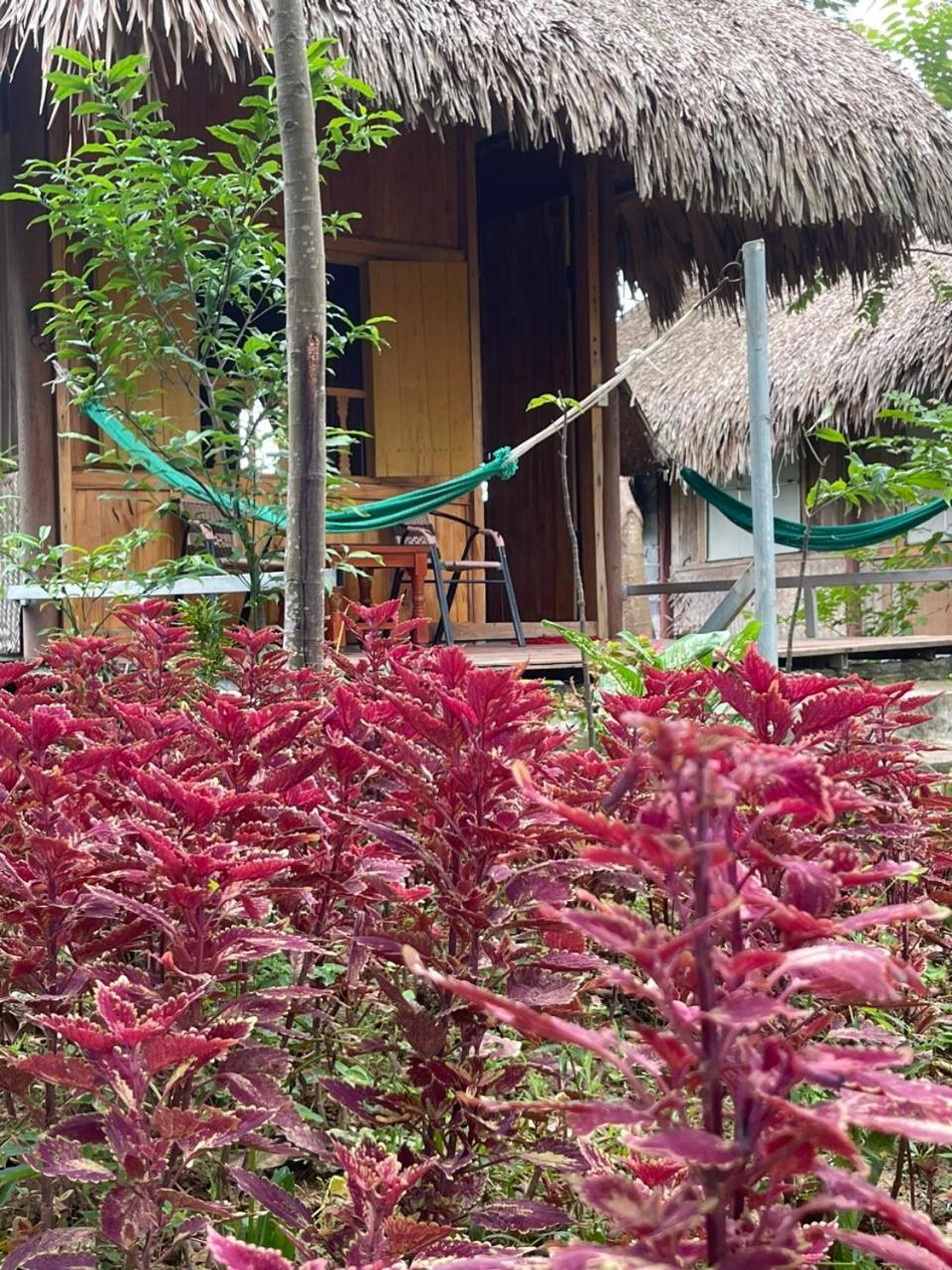 Cuc Phuong Bungalow Nho Quan 外观 照片